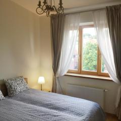 Nemunas Street Apartment