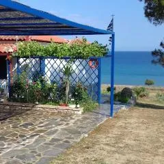 Margarita House
