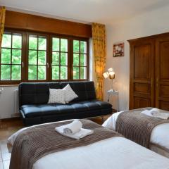 KAYSERSBERG city center - COTE VIGNOBLE -
