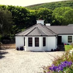 Kilcommon Lodge Holiday Hostel