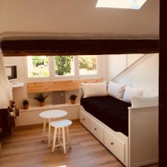 Studio centre ville Cannes 200 mètres des plages du midi