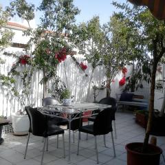 Roof-top garden apartment really well located in Athens