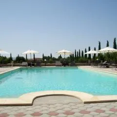 Il Vivaio
