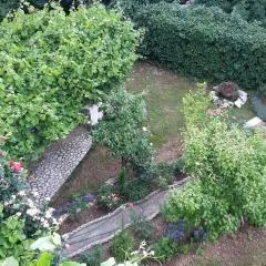 Apartments Frkovic