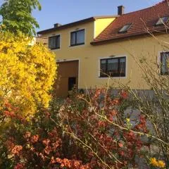 Amstetter’s Ferienwohnung