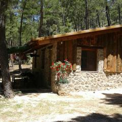 Cabaña en plena naturaleza Parque Natural Río mundo