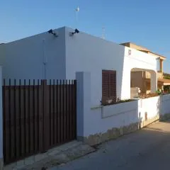 Triscina 83