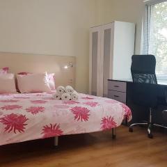 Malavi top center studio Ruse! Comfort&clean!