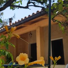 Le Tre Rose