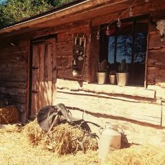 La Cabane Aux Loups