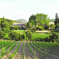 Château Haut Gléon