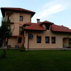 apartment jankovic
