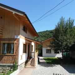 Guest House Carpathia