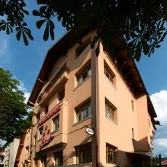 펜시우네아 앰비언트(Pensiunea Ambient)