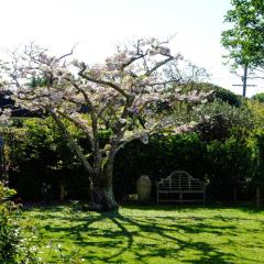 Garden Retreat