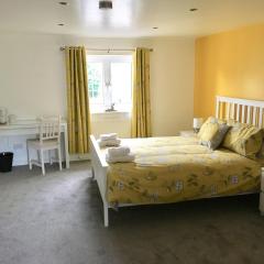 The Sun B&B Rooms