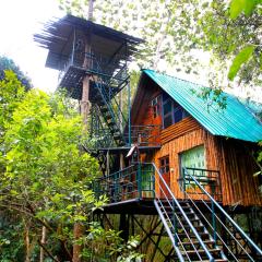 Khao Sok Tree House Resort