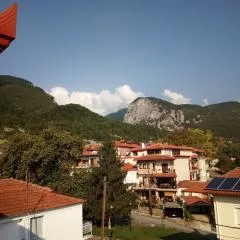 Big apartment next to Olympus mountain