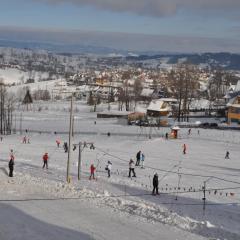 Pensjonat Zbójecki Dwór - ATRAKCYJNY PAKIET ŚWIĄTECZNY - blisko basenów termalnych i szlaków górskich