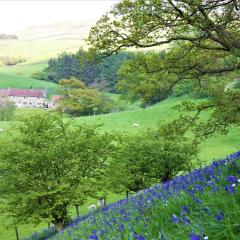 Bluebells Cottage