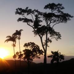 Daintree Holiday Homes - Yurara