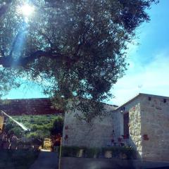 Country House at Alexandroupoli (Dikella)