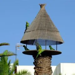 la Kasita in Primavera