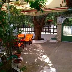 Our parent's house. Family house for rent