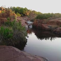Bateleur Nature Reserve