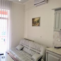 Apartman Andrea, BN centar