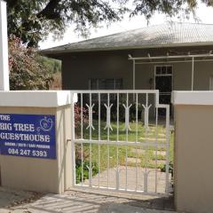 The Big Tree Guest House