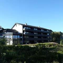 Fjelltun Fritidsleiligheter, leilighet 407