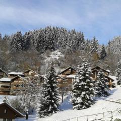 La Plagne/Champagny Studio