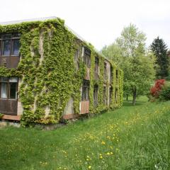 Wildbach Appartement