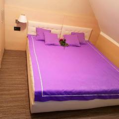 Apartment Superior Centar