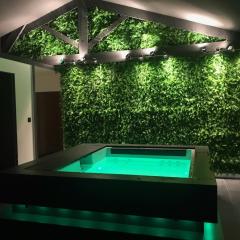 Loft piscine et spa provence