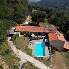 Mas Companyo - Vallespir - Céret - Grand Mas