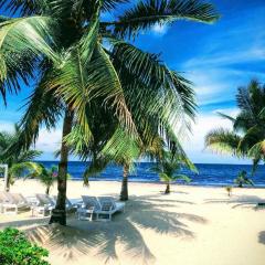 Caribbean Beach Cabanas