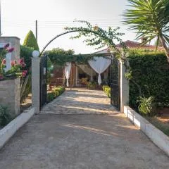 Olives House