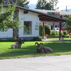 Mountain Springs Motel