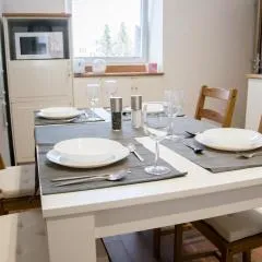 Sunny Aircon Apartment in the Centre of Slaný