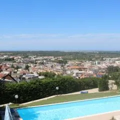 B&B Belvedere