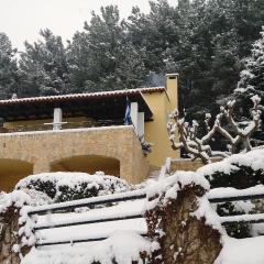 Six Steps From The Forest