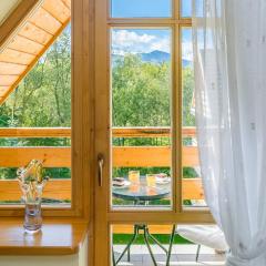 Apartmenty Szczęśliwa 13 i Aramis w centrum APARTZAKOP