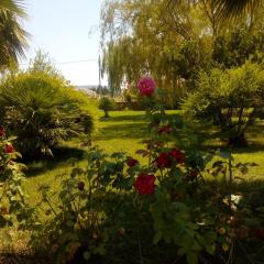 Il Giardino delle Rose A