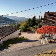 Gîte de Bellevue Maison Traditionnelle Vosgienne