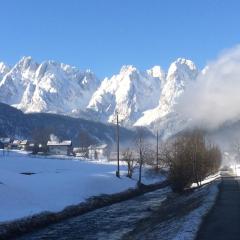 Dachstein Mountainview Gosau