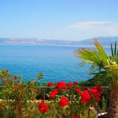 Sea Star Apartment