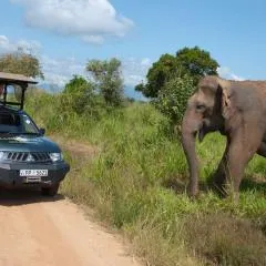 Mahoora Udawalawe - by Eco Team