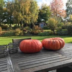 "Un matin au jardin"